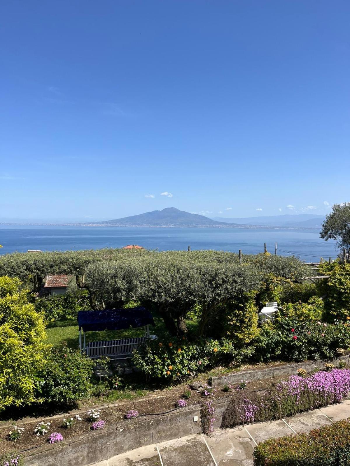Hotel Sorrento Olive Tree Garden Exterior foto