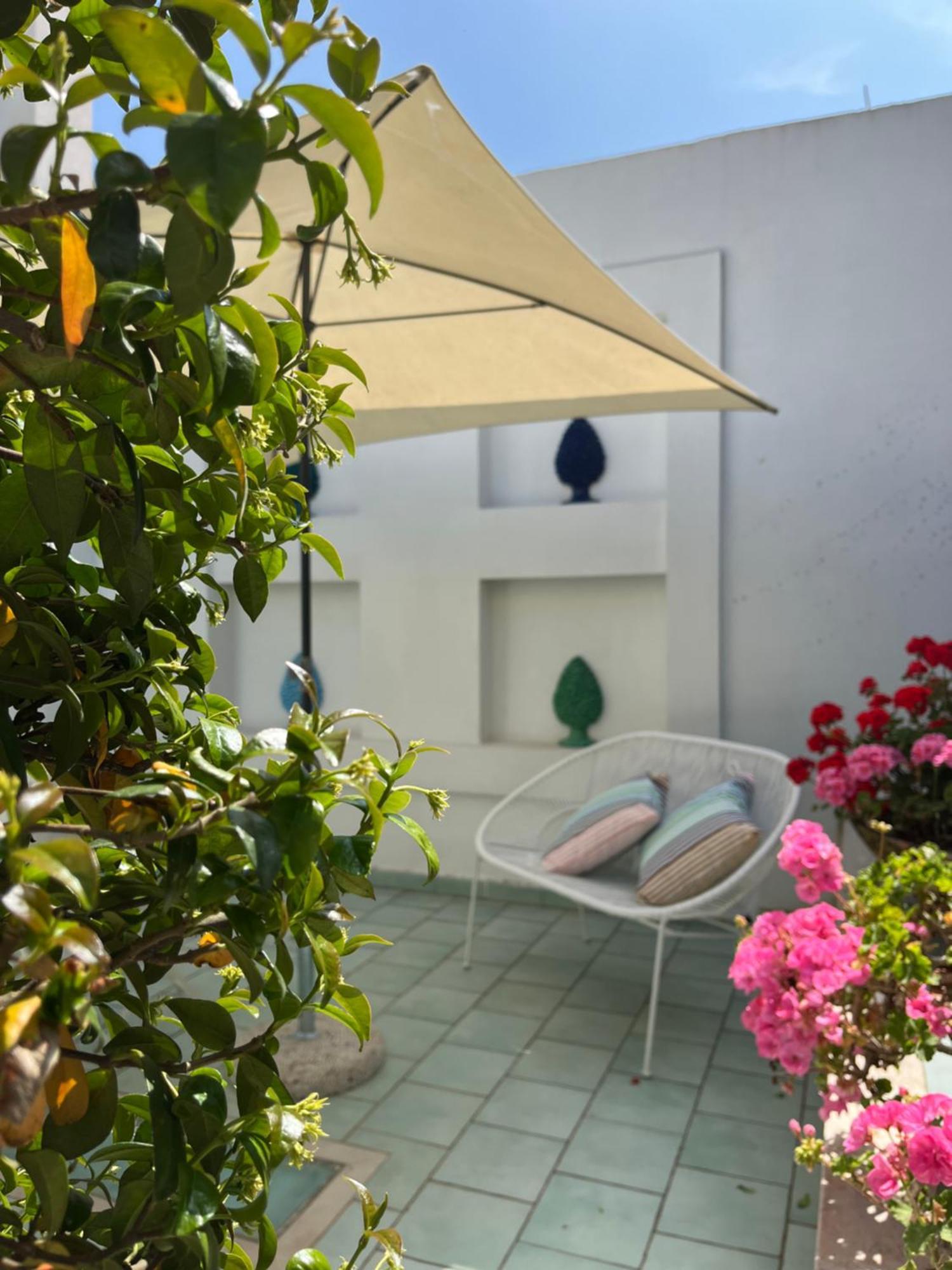 Hotel Sorrento Olive Tree Garden Exterior foto