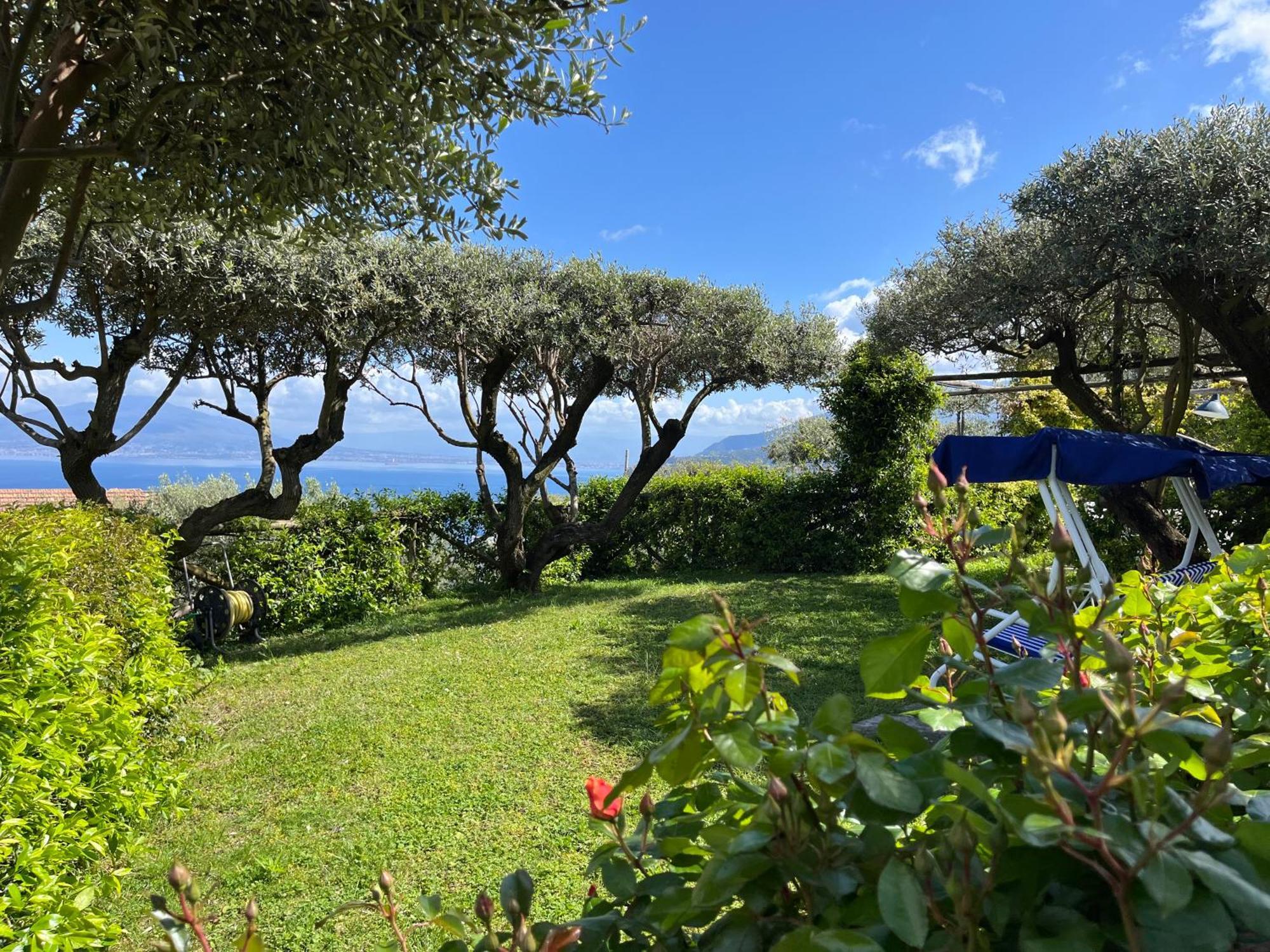 Hotel Sorrento Olive Tree Garden Exterior foto